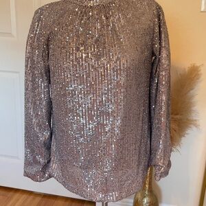 Soft Surroundings Metallic Sequin Blouse